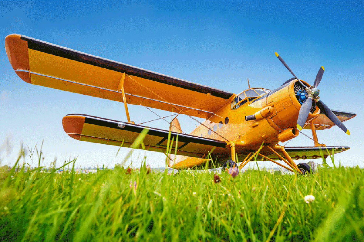 aviation insurance